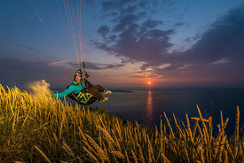 Collecting Pollen at sunset with Francois Ragolski
