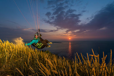 Collecting Pollen at sunset with Francois Ragolski