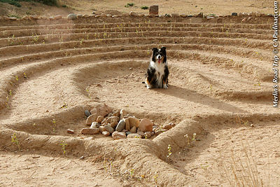 Merlin Frenchy's Field Park Labyrinth