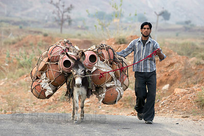 A man and his donkey transport clay water pots down a country road near Kharekhari village, Rajasthan, India