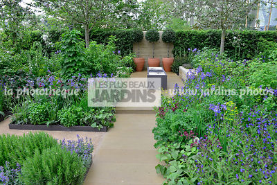 Petit jardin, urbain, Style champêtre contemporain : Iris sibirica 'Tropic Night', Chou frisé, Paysagiste : Adam Frost, CFS, Angleterre