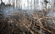 Restoration Burning of the Island Iso-Häntiäinen