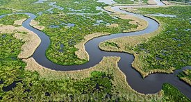 Aerial Photo, Wetlands, Louisiana