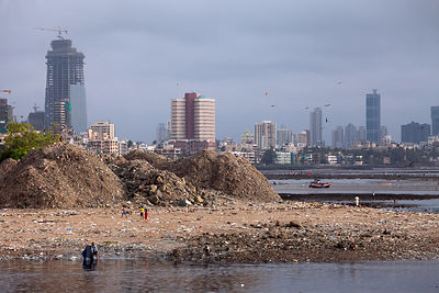 Garbage piles up in Mahim Bay, Mumbai, India. Mumbai's landfills are projected to fill up soon, with the massive Deonar dump, the largest in India, already holding 10 million tons.