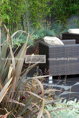 Mobilier de jardin : fauteuil. Devant : Phormium tenax (Lin de Nouvelle-Zélande). Au fond : Phyllostachys nigra (Bambou noir), Paysagiste : Clive Scott. TFS, Angleterre