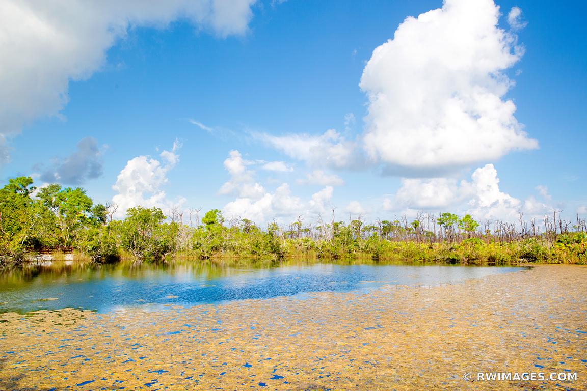 Photo Print of BLUE HOLE WILDLIFE REFUGE BIG PINE KEY FLORIDA Print