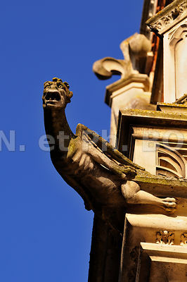 FRANCE, VALLEE DE LA LOIRE, BLOIS, LA LOIRE//France, Loire Valley, Blois,