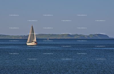 Voilier