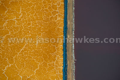 San Francisco Bay salt ponds.