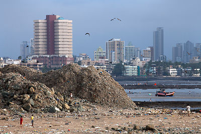 Garbage piles up in Mahim Bay, Mumbai, India. Mumbai's landfills are projected to fill up soon, with the massive Deonar dump, the largest in India, already holding 10 million tons.