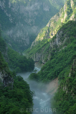 Rivière dinarique