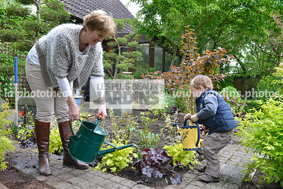 Plantation d'une heuchère pourpre (Heuchera spp et Heuchera x Regal 'Citronnelle'), arrosage de la plante, femme et enfant. Jardin MAP, Courcouronnes, France