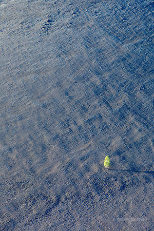LONE TREE VOLCANIC ASH CINDER CONE VOLCANO LASSEN VOLCANIC NATIONAL PARK CALIFORNIA
