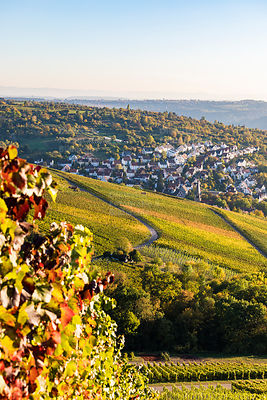 Weinberge, Blick nach Stuttgart-Uhlbach, Stuttgart