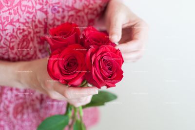 Roses