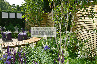 Jardin urbain, massif fleuri : Salvia nemorosa 'Caradonna' et Digitalis 'Camelot White'. Betula utilis var. jacquemontii (Bouleau de l’Himalaya). Tableau en plâtre réalisé par Rachel Dein. poufs (Mary Goulding), Paysagistes : Claire Moreno, Amy Robertson,