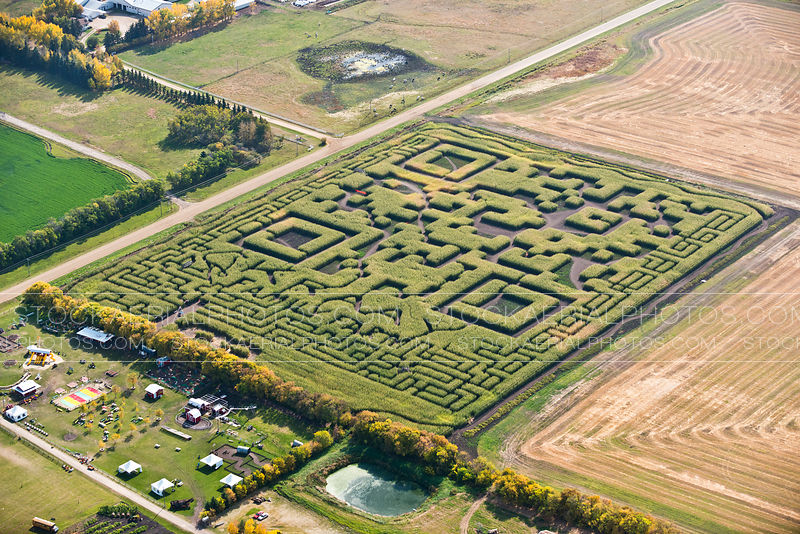 Aerial Photo Corn Maze