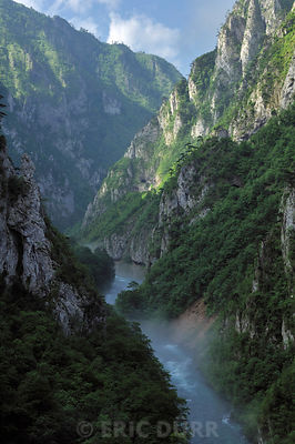 Gorges de la Piva au Monténégro