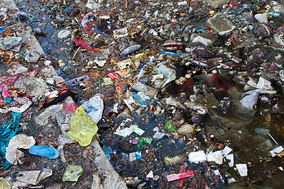 Filthy garbage strewn lake in Jodhpur, Rajasthan, India