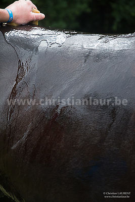 Cette photo est imprimée sur Chromaluxe (Aluminium) en édition très limitée de 10 exemplaires, signés et livrés avec certificat d'authenticité.