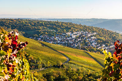 Weinberge, Blick nach Stuttgart-Uhlbach, Stuttgart