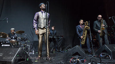 The Selecter