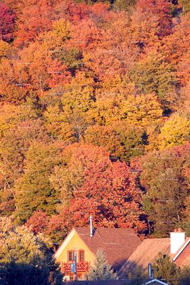 Laurentians