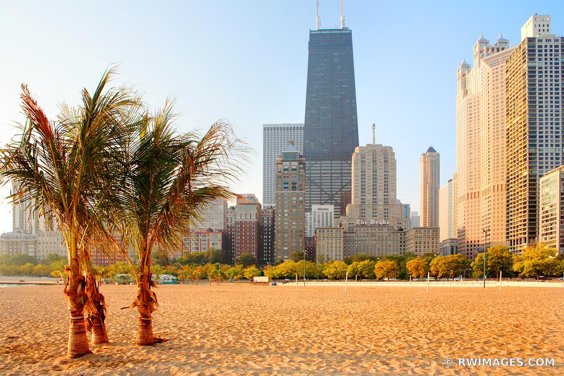 Framed Photo Print of PALM TREES ON OAK STREET BEACH AT THE LAKEFRONT