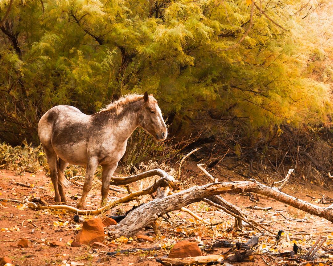 20111105-00176711-IMG_9285