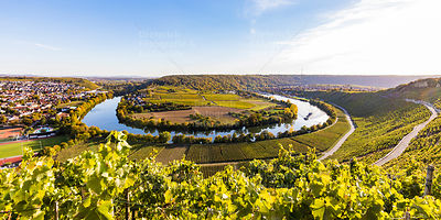 Neckarschleife, Weinberge, Mundelsheim, Baden-Württemberg