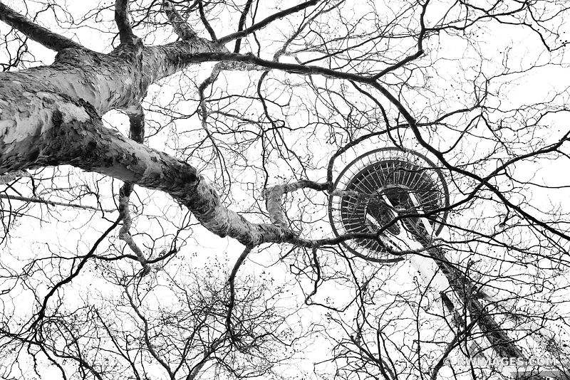 SEATTLE SPACE NEEDLE AND WINTER TREES BLACK AND WHITE