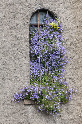 street scene, Dalkey, Ireland