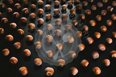 Forest hazelnuts on a black background