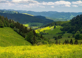 Nature park