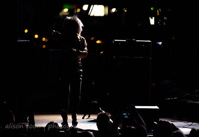 Blondie, Sunrise At Night, Citrus Heights, California, 2012