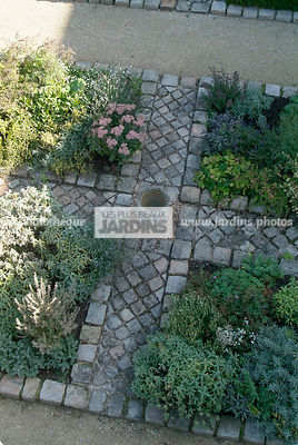 Massif de plantes aromatiques. Jardin médiéval de Bois Richeux. Eure et Loir