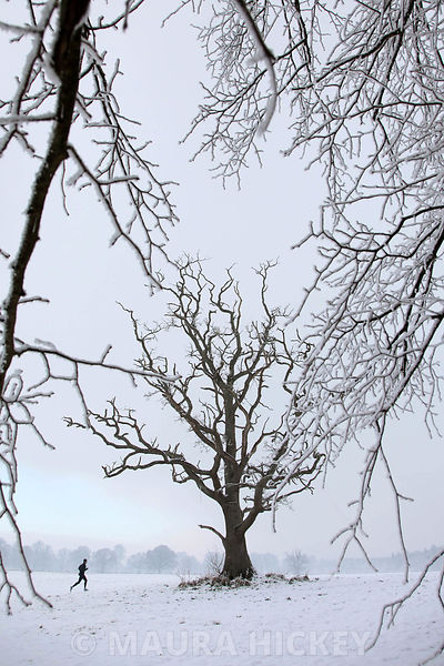 Castletown Estate, Celbridge, Co. Kildare, saturday..09.01.09.Pic. Maura Hickey/086 8541120.