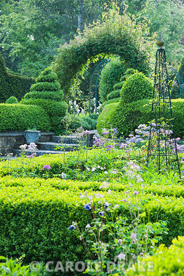 Formal courtyard garden on the west side of the house features box hedging and flowers such as irises, self seeded aquilegias, thalictrums and peonies, with rose arches above a pebble path leading into the rest of the garden. The Old Rectory, Netherbury, Dorset, UK