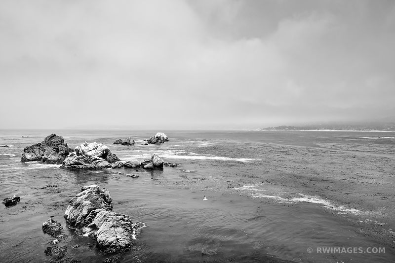 POINT LOBOS CALIFORNIA BLACK AND WHITE