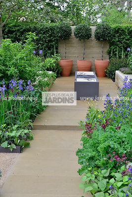 Petit jardin, urbain, Style champêtre contemporain, Au fond : pot avec Laurus nobilis (laurier sauce sur tige), Paysagiste : Adam Frost, CFS, Angleterre