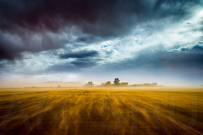The Storm