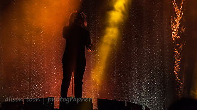 Maynard James Keenan, vocals, A Perfect Circle