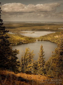 Lakes and taiga from above