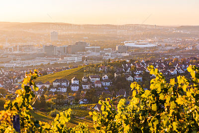Weinberge, Blick nach Stuttgart-Untertürkheim, Stuttgart