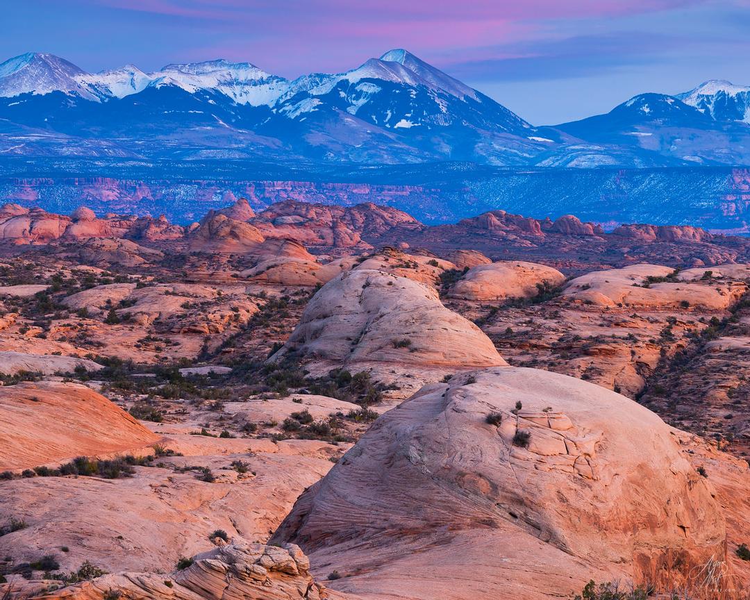 20111103-00176149-IMG_8639