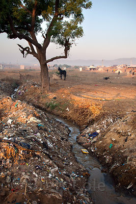 Trash along a waterway in Pushkar, Rajasthan, India