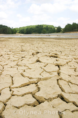 Secheresse / Dry