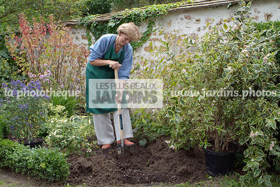 Plantation d'un Weigelia florida 'Variegata'. Préparation du trou. Arbuste