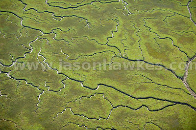 Marshes near Tillingham, Essex
