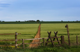 Northumberland Walk